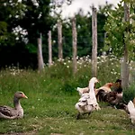Proche Puydufou - Maison La Rouliere Holiday home Saint-Aubin-de-Baubigne