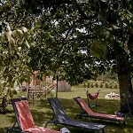 Casa vacanze Proche Puydufou - Maison La Roulière Saint-Aubin-de-Baubigne