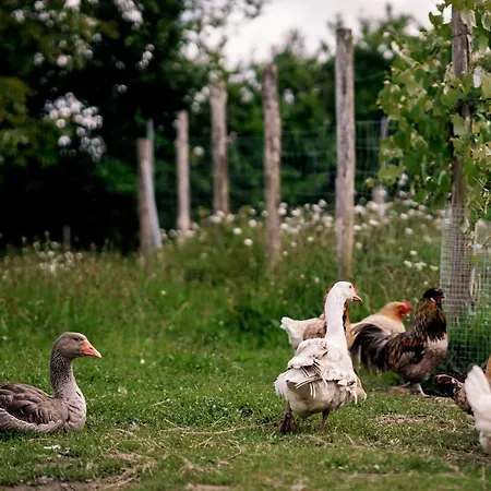 Proche Puydufou - Maison La Rouliere 度假居 Saint-Aubin-de-Baubigne