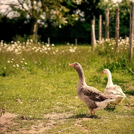 Proche Puydufou - Maison La Rouliere Дом отдыха